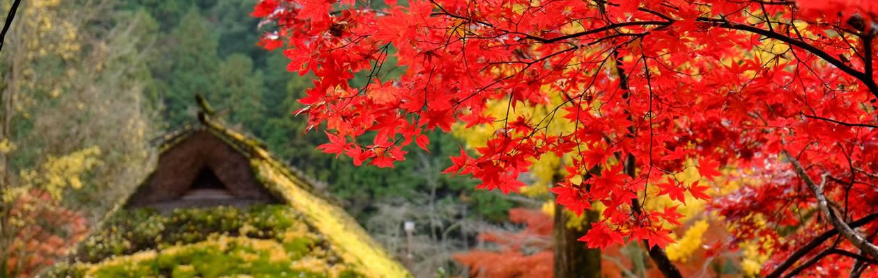 デザインも自由自在にカスタマイズ可能！