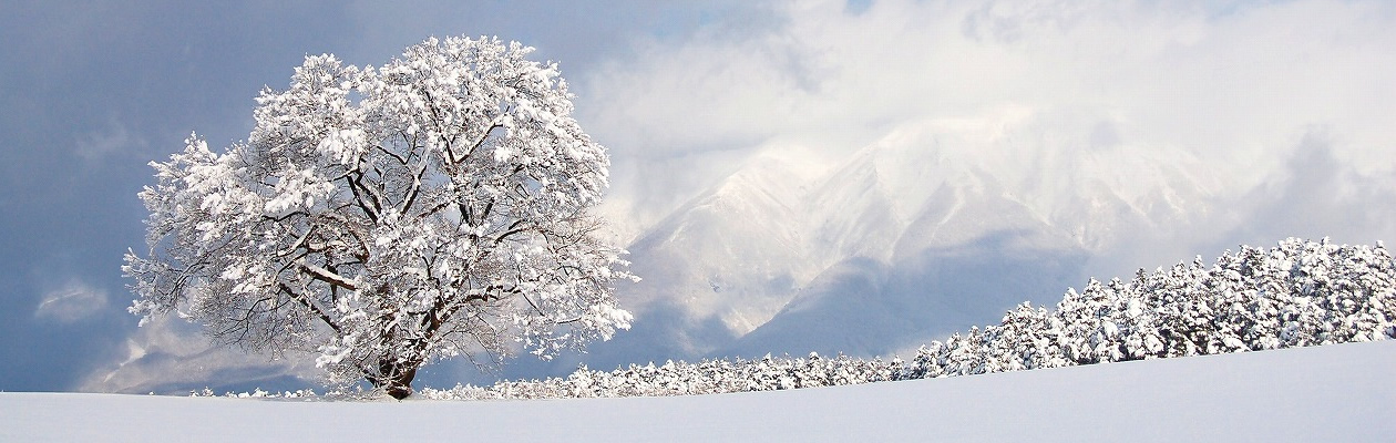 質問・ご相談はユーザーズフォーラムへ
